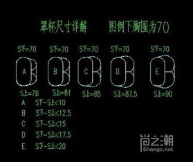 41是什么？