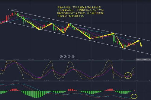 黄金大多头表示下跌,金价暴跌-探究背后的原因与影响