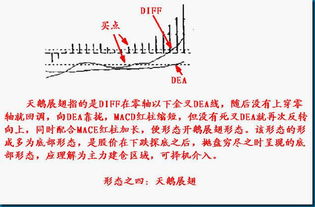 亏了20年搞得妻离子散,只为弄懂 MACD 八种形态