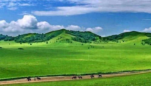风景如画的内蒙古,道路宽阔平坦,为何自驾游的人却那么少呢
