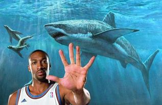 NBA球星的奇葩宠物 养老虎 养鲨鱼 养骆驼,而他偏爱养20条蛇