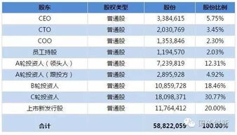 关于公司期权股的分配方案