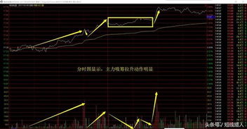 帮忙分析下股票600060海信电器什么时候可以补仓？