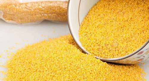 粟米的功效与作用及食用方法,粟米是什么？