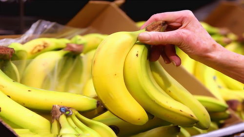不熟的香蕉怎么催熟(不熟的香蕉怎么催熟视频)