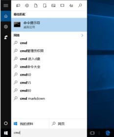 win10系统的电脑的lp