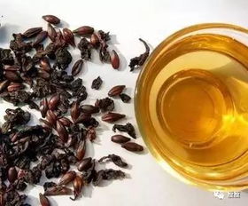 黑乌龙茶和大麦哪个好,大麦茶乌龙茶普洱茶哪个用于减肥效果最好