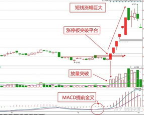 昨天卖的股票,今天显示可用,不可取什么原因