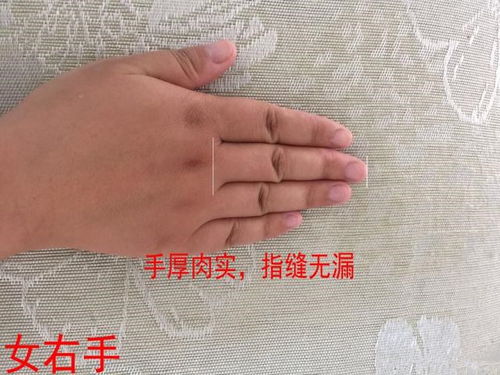 女性手相 富贵有福气,一世好风光的手相