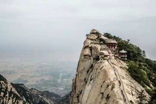 来华山,不可错过的专属风景