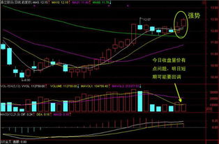 我持有的股票佰利联成本13.6元，道森股份成本30.9元都被套，请问老师们该如何操做？