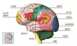 传统针灸 现代康复双管齐下 为中风老人解除后遗症 