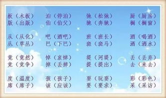 小学语文考试易错常考的多音字 形近字大全,考前复习必看