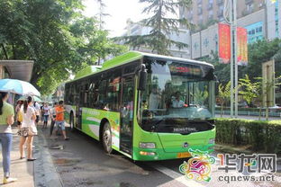重庆主城公交市民最爱哪款 快来看看你坐过吗