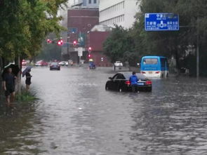 一场大雨后,沈阳街头这一幕把我暖哭了 