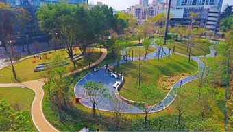 深圳多个主题公园开园 首个宠物公园 交通公园亮相,简直不要太萌