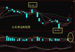 有谁能解释一下600547山东黄金？