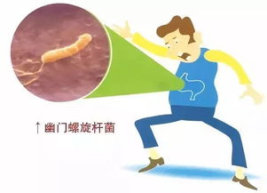 生活中如何正确预防幽门螺杆菌感染 