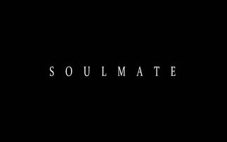 soulmate 灵魂伴侣 搜狗百科 