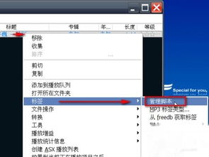 Foobar2000 如何从音乐文件名获取标签 