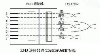 网线连接方案模板(网线接线规范)