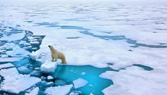 历史上的今天 33年前的今天,中国科考人员第一次踏上北极