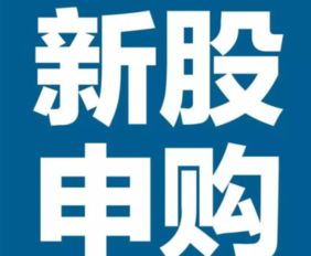 新股是是什么意思？如何才能买到？为什么会有新股的出现？