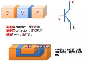 什么是单极型晶体管和双极型晶体管 