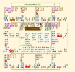 求懂紫薇的大师对以下两个紫薇命盘详解,各个命宫的吉凶分析 命主破军身主火星和命主文曲省主天机 这两句各是什么意思 感激不尽 