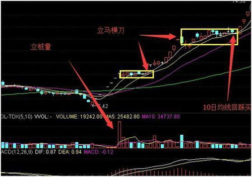 股票大跌中如何才能成功抢反弹？