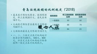 生育基金支付金额是什么意思