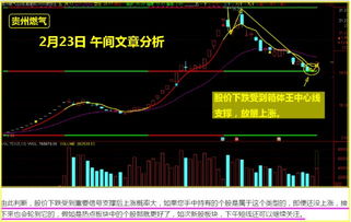 涨停版打开的股票后期走势会跌吗