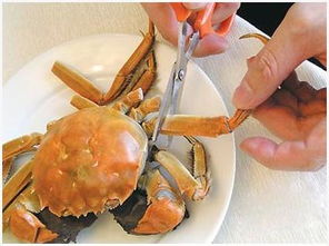 吃大闸蟹不要用牙硬碰硬 10招如何吃螃蟹 图解 