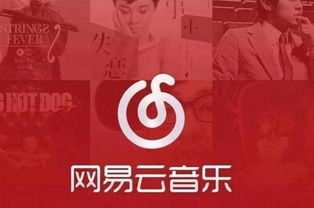 网易云年度听歌报告准确吗 或许你还不知道