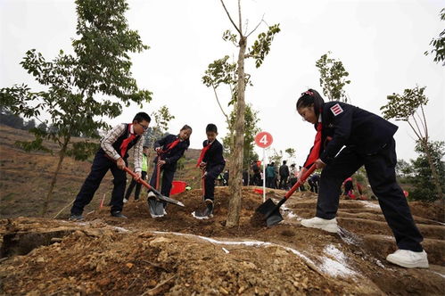 南宁各界代表参与义务植树活动