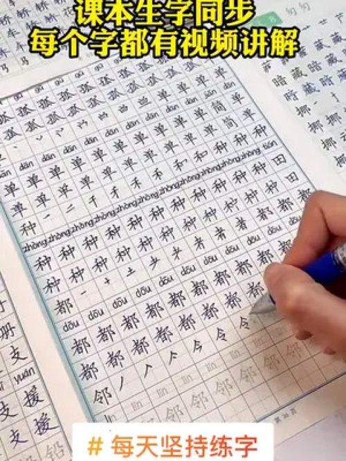 一定要让孩子练字, 学习本不易,这样丢分太可惜 让孩子练字,并不是非得把字写得多么漂亮,而是要写得端正,工整,干净,整齐 