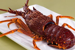 澳洲龙虾怎么做,做法，正宗澳洲龙虾怎么做