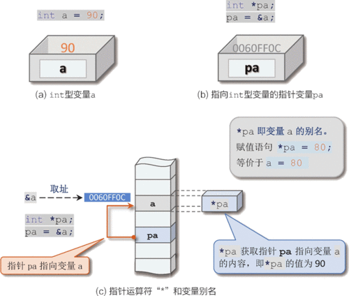 c语言变量定义引用,C语言指针变量的定义和使用