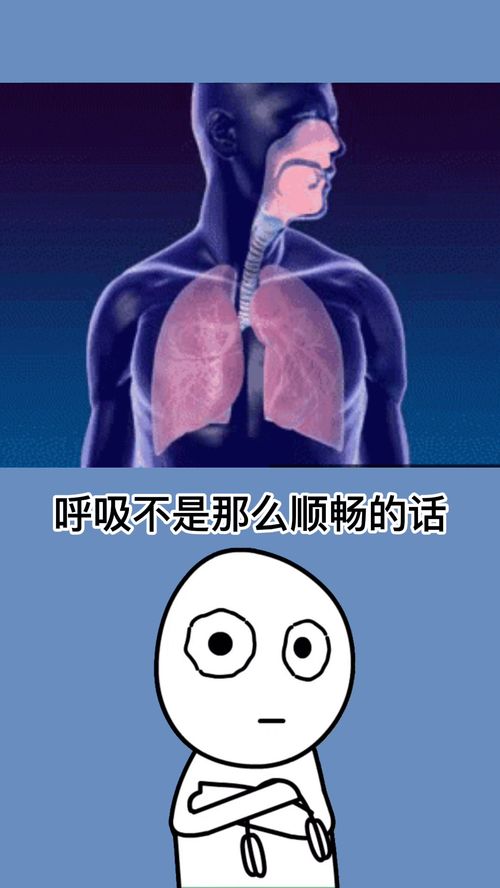 鼻塞通的冷知识？鼻塞 通