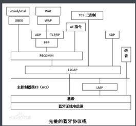 网络炒股选什么什么加密协议