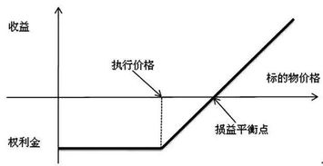 期权的双重选择：看涨与看跌