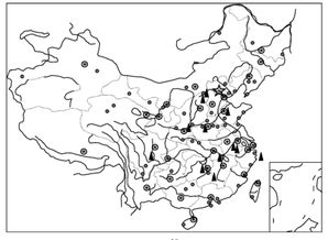 在下图填出我国主要城市名称 