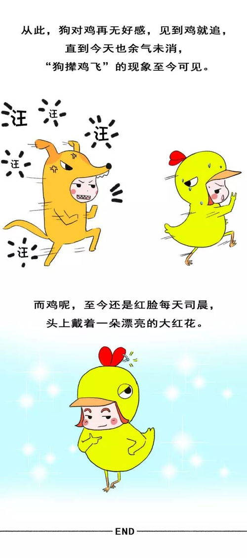 一幅漫画告诉你鸡年那些你不知道的事儿 