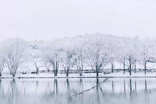 大雪纷飞, 孩子们写下的诗句, 美好到让人惊艳