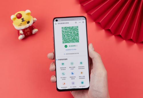 干货分享 iPhone和国产手机秒开健康码,一文看懂教程
