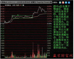 请问：在股市分析中，什么叫做“中线调整状态”