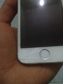 iPhone5s的屏幕玻璃摔裂了,请问换一个原装的大概需要多少钱