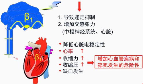 心肌梗死放支架,没有高血压,医生为啥让吃倍他乐克和培哚普利