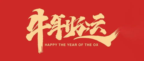 牛年启鸿运丨临工矿山祝您新年快乐