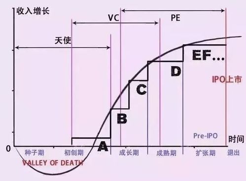 搏实资本投资策略是什么？